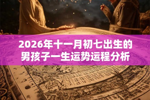 2026年十一月初七出生的男孩子一生运势运程分析