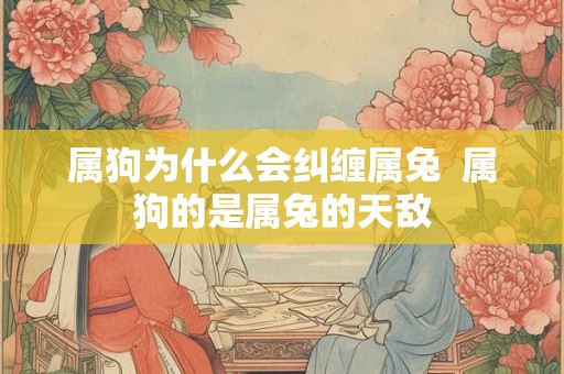 属狗为什么会纠缠属兔  属狗的是属兔的天敌