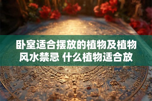 卧室适合摆放的植物及植物风水禁忌 什么植物适合放在卧室植物风水有哪些禁忌