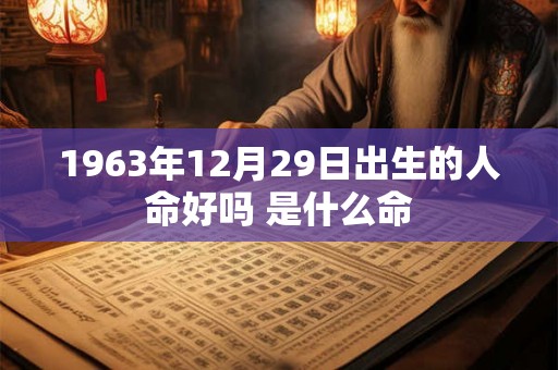1963年12月29日出生的人命好吗 是什么命