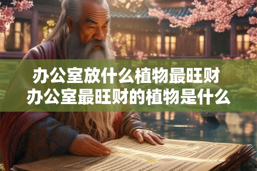 办公室放什么植物最旺财 办公室最旺财的植物是什么 办公室放什么植物最旺财 办公室最旺财的植物是什么