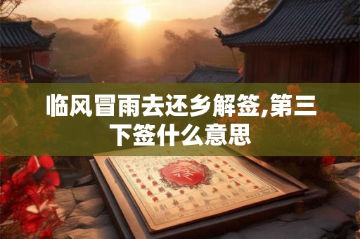 临风冒雨去还乡解签,第三下签什么意思