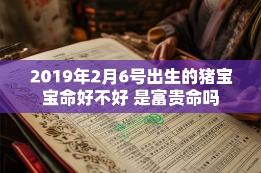 2019年2月6号出生的猪宝宝命好不好 是富贵命吗