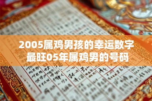 2005属鸡男孩的幸运数字 最旺05年属鸡男的号码