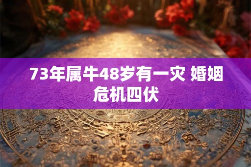73年属牛48岁有一灾 婚姻危机四伏