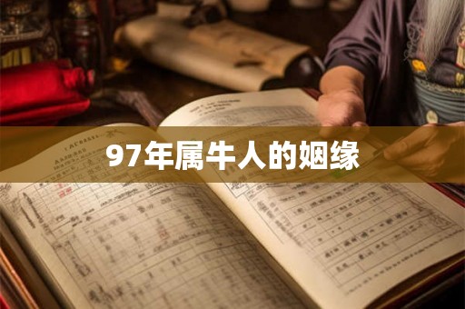 97年属牛人的姻缘
