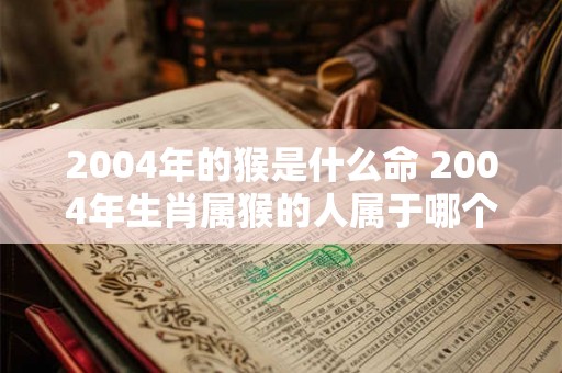 2004年的猴是什么命 2004年生肖属猴的人属于哪个命运