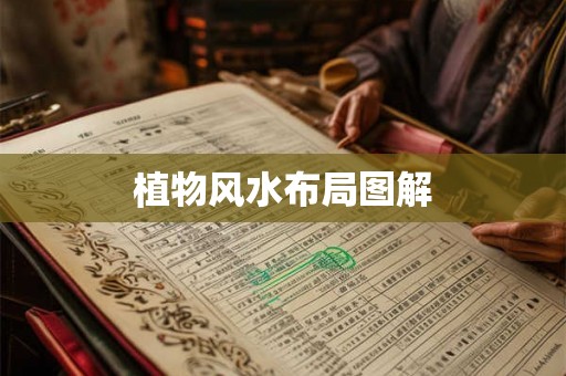 植物风水布局图解