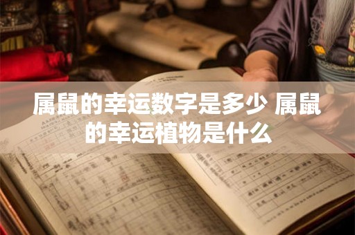 属鼠的幸运数字是多少 属鼠的幸运植物是什么