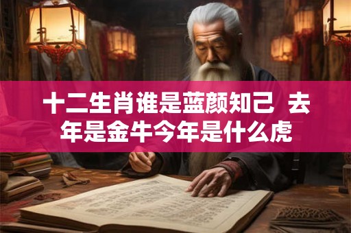 十二生肖谁是蓝颜知己  去年是金牛今年是什么虎