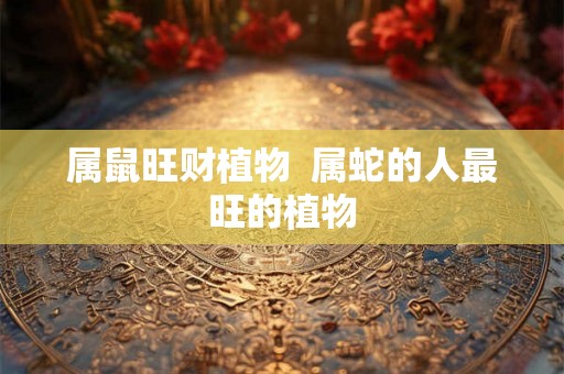 属鼠旺财植物  属蛇的人最旺的植物