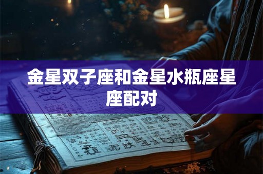 金星双子座和金星水瓶座星座配对