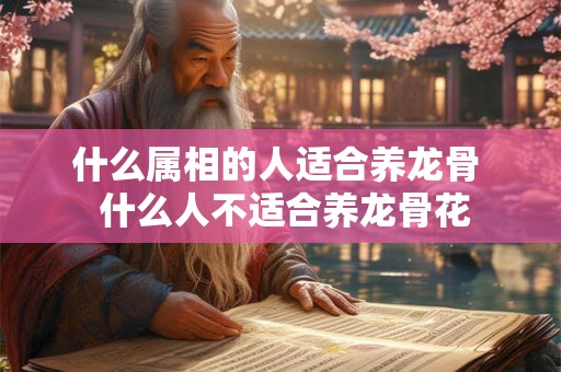 什么属相的人适合养龙骨  什么人不适合养龙骨花