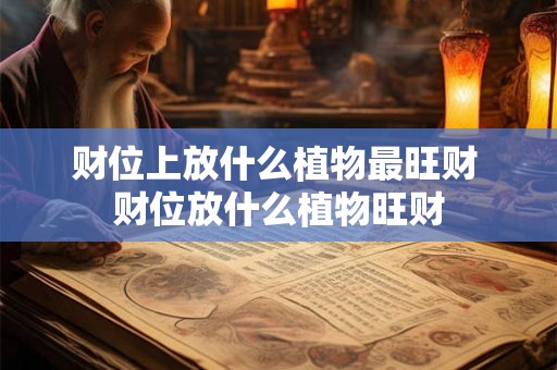 财位上放什么植物最旺财 财位放什么植物旺财