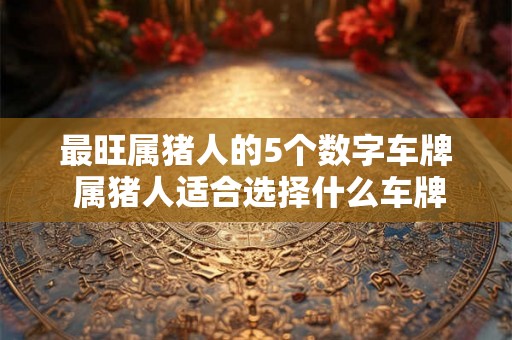 最旺属猪人的5个数字车牌 属猪人适合选择什么车牌