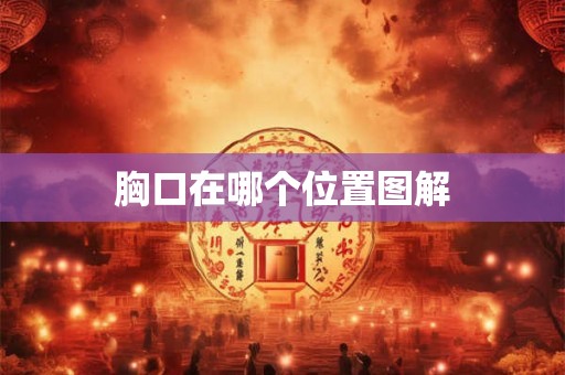 胸口在哪个位置图解
