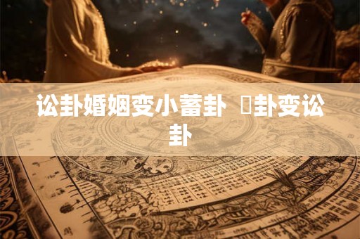 讼卦婚姻变小蓄卦 姤卦变讼卦 讼卦婚姻变小蓄卦 姤卦变讼卦