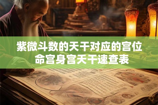 紫微斗数的天干对应的宫位  命宫身宫天干速查表