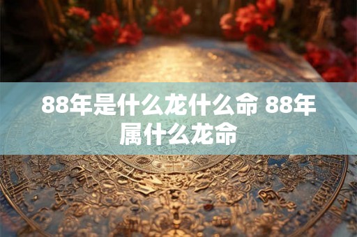 88年是什么龙什么命 88年属什么龙命