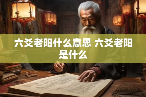 六爻老阳什么意思 六爻老阳是什么
