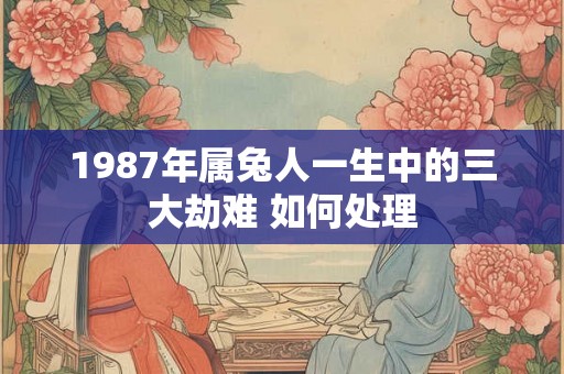 1987年属兔人一生中的三大劫难 如何处理 1987年属兔人一生中的三大劫难 如何处理