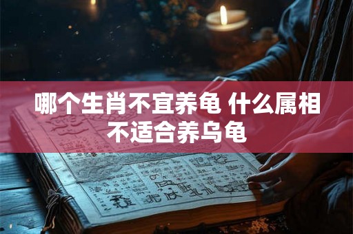 哪个生肖不宜养龟 什么属相不适合养乌龟