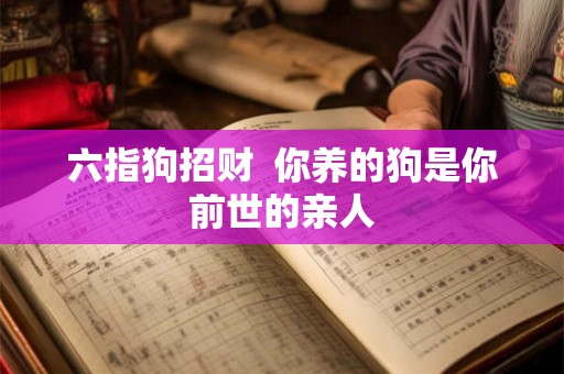 六指狗招财 你养的狗是你前世的亲人 六指狗招财 你养的狗是你前世的亲人
