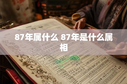 87年属什么 87年是什么属相