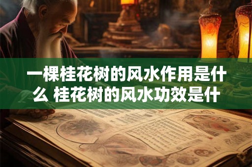 一棵桂花树的风水作用是什么 桂花树的风水功效是什么