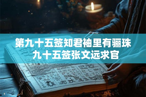 第九十五签知君袖里有骊珠 九十五签张文远求官 第九十五签知君袖里有骊珠 九十五签张文远求官