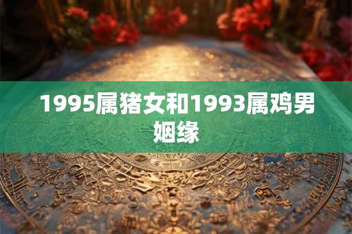 1995属猪女和1993属鸡男姻缘