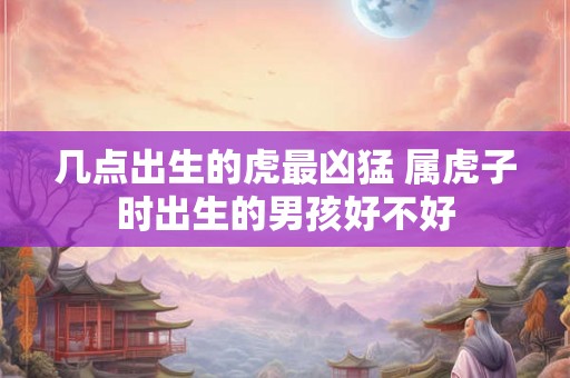 几点出生的虎最凶猛 属虎子时出生的男孩好不好