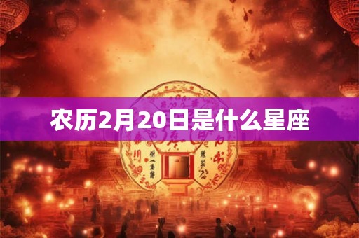 农历2月20日是什么星座 农历2月20日是什么星座