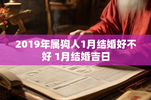 2019年属狗人1月结婚好不好 1月结婚吉日