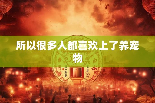 所以很多人都喜欢上了养宠物 所以很多人都喜欢上了养宠物