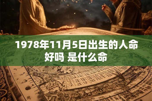 1978年11月5日出生的人命好吗 是什么命