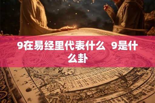 9在易经里代表什么 9是什么卦 9在易经里代表什么 9是什么卦
