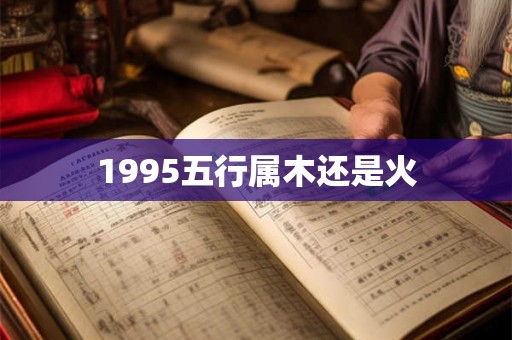 1995五行属木还是火 1995五行属木还是火