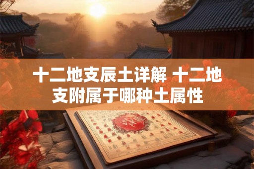 十二地支辰土详解 十二地支附属于哪种土属性 十二地支辰土详解 十二地支附属于哪种土属性