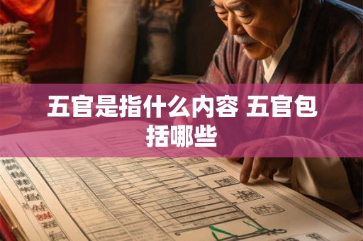 五官是指什么内容 五官包括哪些
