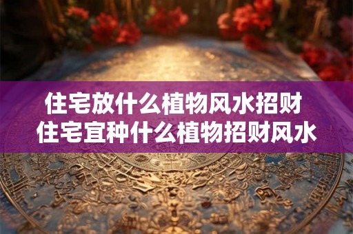 住宅放什么植物风水招财 住宅宜种什么植物招财风水 住宅放什么植物风水招财 住宅宜种什么植物招财风水