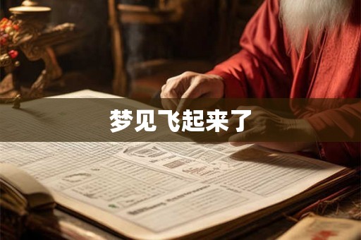 梦见飞起来了