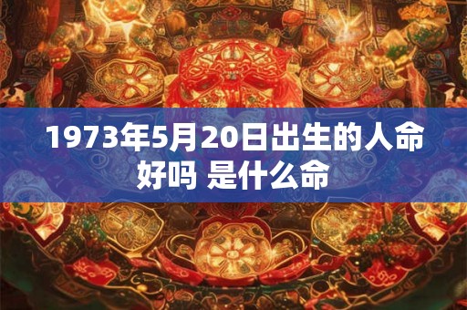 1973年5月20日出生的人命好吗 是什么命