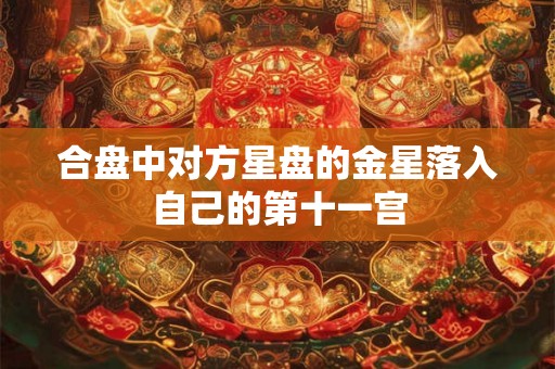 合盘中对方星盘的金星落入自己的第十一宫