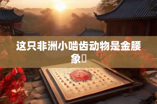 这只非洲小啮齿动物是金腰象鼩