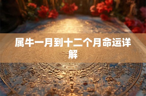 属牛一月到十二个月命运详解 属牛一月到十二个月命运详解