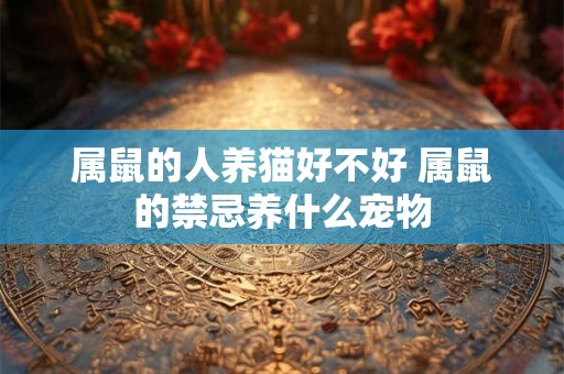 属鼠的人养猫好不好 属鼠的禁忌养什么宠物
