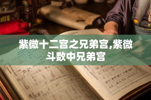 紫微十二宫之兄弟宫,紫微斗数中兄弟宫