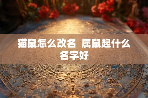 猫鼠怎么改名 属鼠起什么名字好 猫鼠怎么改名 属鼠起什么名字好