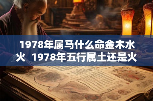 1978年属马什么命金木水火  1978年五行属土还是火